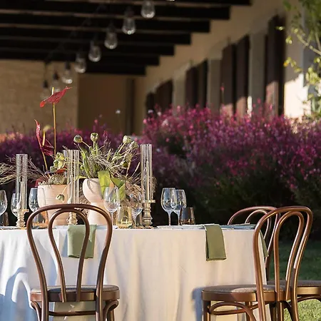 Tranquil Istria Estate Palazio Clai Winery 8 Bedrooms Spa Heated Pool Groznjan *