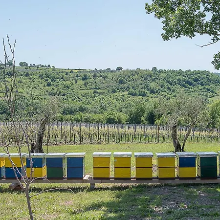 Tranquil Istria Estate Palazio Clai Winery 8 Bedrooms Spa Heated Pool Groznjan * Groznjan