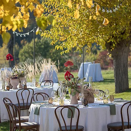 Tranquil Istria Estate Palazio Clai Winery 8 Bedrooms Spa Heated Pool Groznjan *