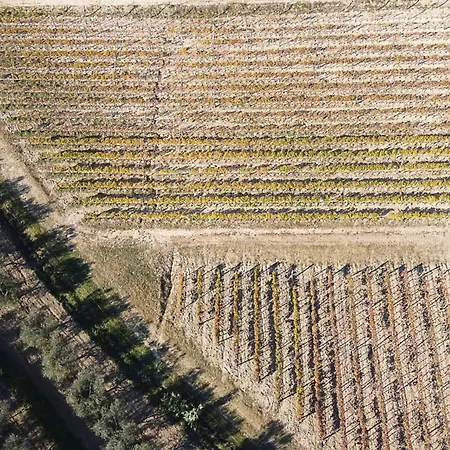 Tranquil Istria Estate Palazio Clai Winery 8 Bedrooms Spa Heated Pool Groznjan Villa *