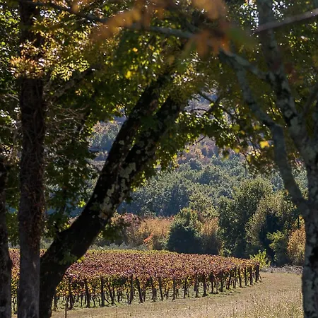 Tranquil Istria Estate Palazio Clai Winery 8 Bedrooms Spa Heated Pool Groznjan *