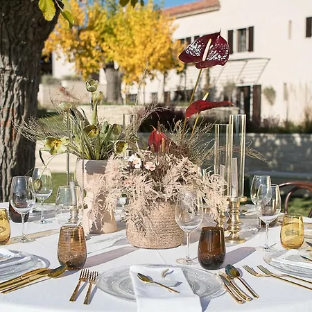 Tranquil Istria Estate Palazio Clai Winery 8 Bedrooms & Heated Pool Grožnjan
